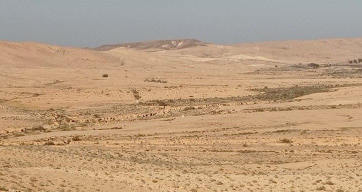 קובץ:הר-חדד ממ.הר-בוקר 8.1.24 בקעת-בוקר כביש-40 ש-15.jpg