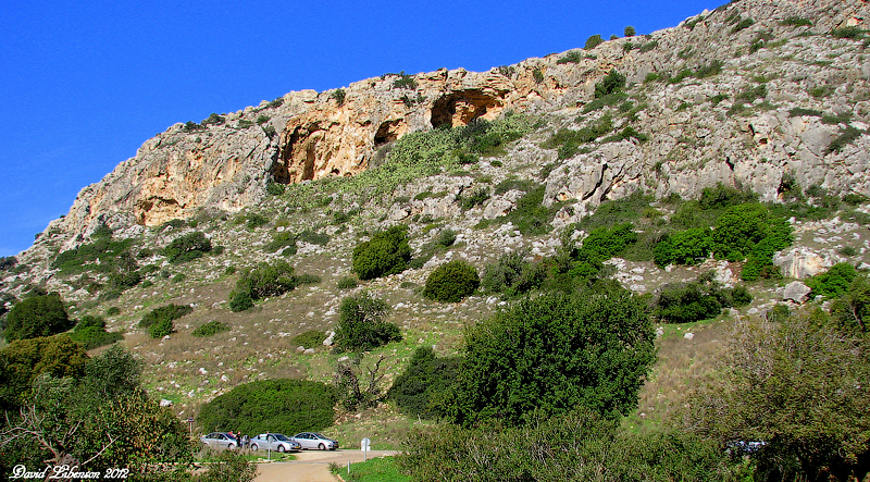 קובץ:Oren 002.jpg