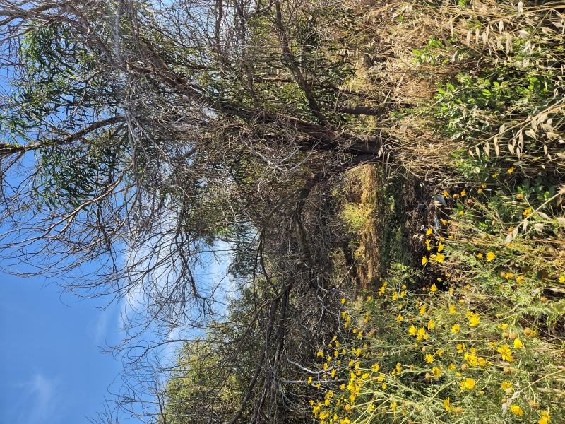 קובץ:Карта.jpg