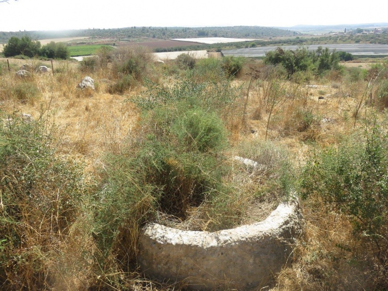 קובץ:אבןיםמנעם.jpg