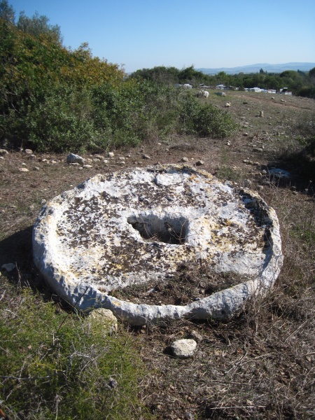 קובץ:אבןיםסווידה.JPG