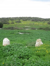 אבניםבריכות.JPG