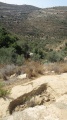 תמונה ממוזערת לגרסה מתאריך 11:38, 5 בספטמבר 2018