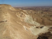 אוכףשלוחתכרכום.jpg