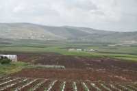 אזור עמק דותן ואתרים שונים בו 346.jpg