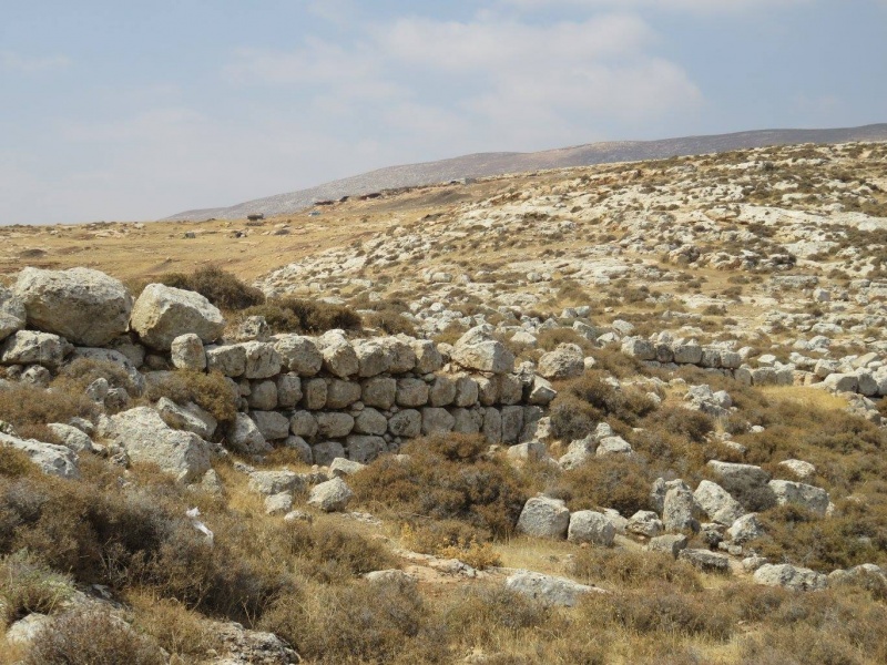 קובץ:אלקסרהשחר.jpg