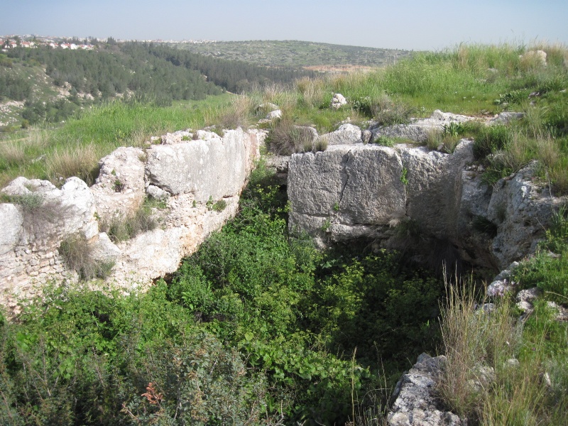 קובץ:אםאלבריר.JPG