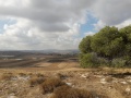 תמונה ממוזערת לגרסה מתאריך 09:43, 15 ביולי 2019