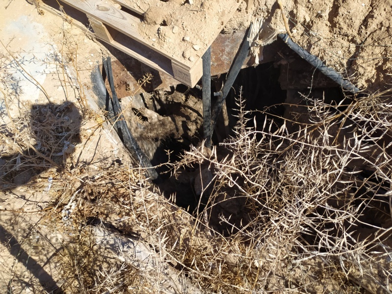 קובץ:בארגןדרוםיבנה.jpg