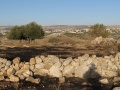 תמונה ממוזערת לגרסה מתאריך 03:28, 20 במאי 2017