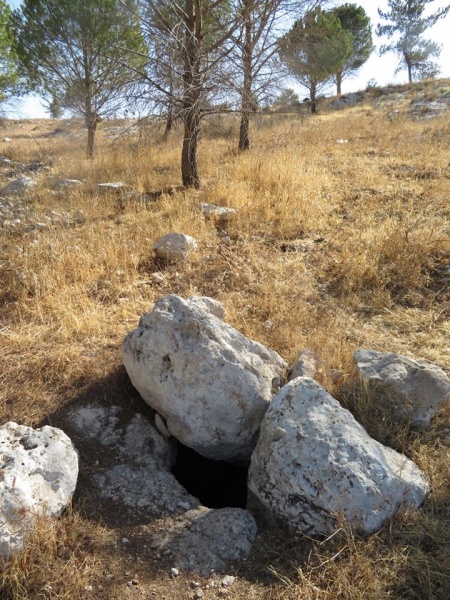 קובץ:בוראורנים.jpg