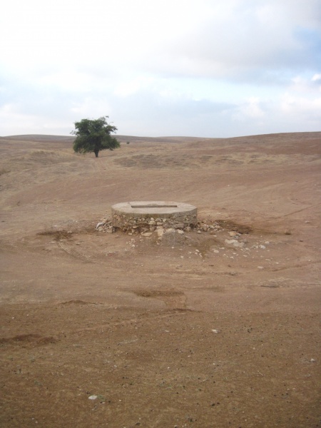 קובץ:בוראפיקכלך.JPG