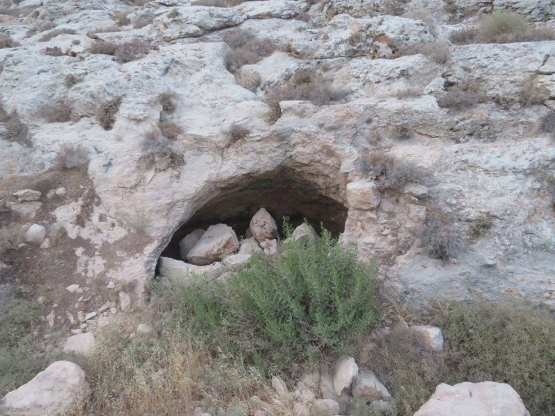 קובץ:בורמיםדעבוב.jpg