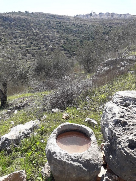 קובץ:בורמיםנחלסיףעררה.jpg