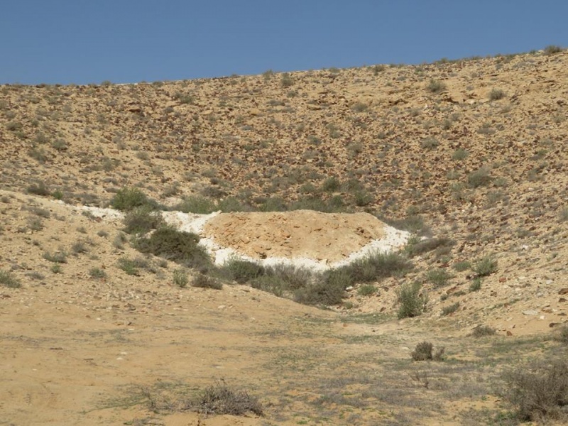 קובץ:בורמצפוןלשביל.jpg