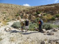 תמונה ממוזערת לגרסה מתאריך 20:01, 25 באפריל 2015