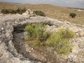 תמונה ממוזערת לגרסה מתאריך 12:24, 29 באפריל 2023