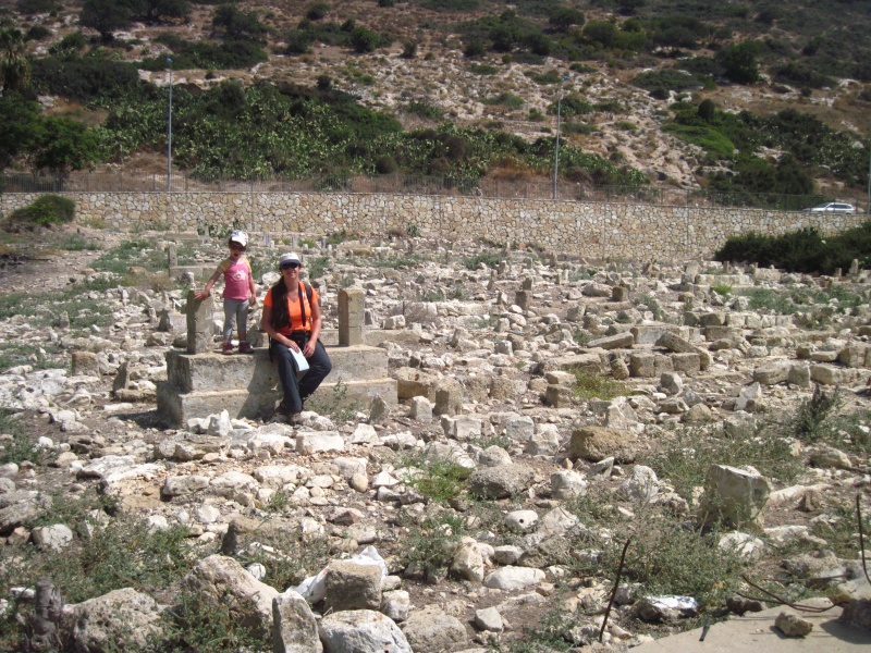 קובץ:ביקטירה.JPG