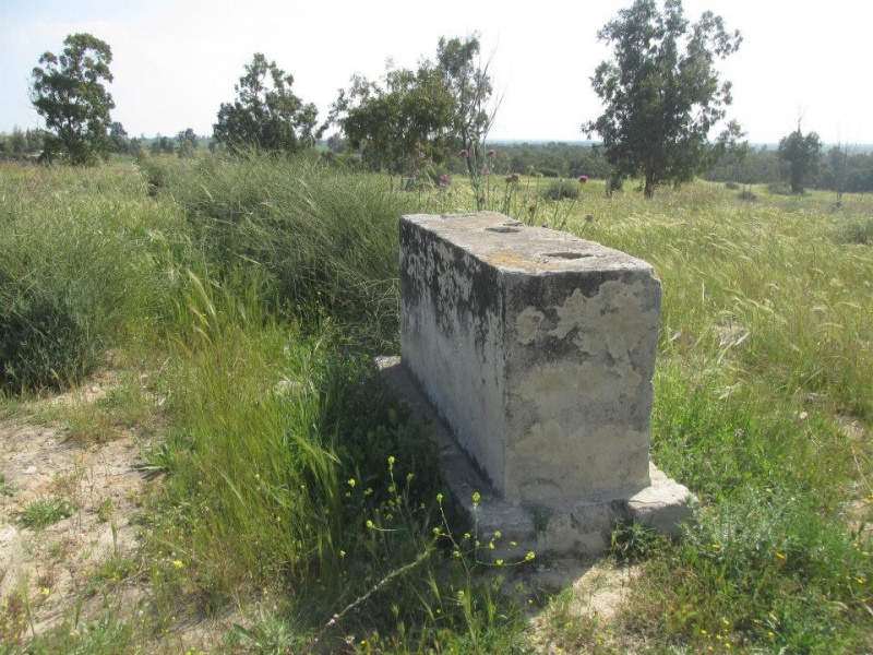 קובץ:ביקמדור.jpg