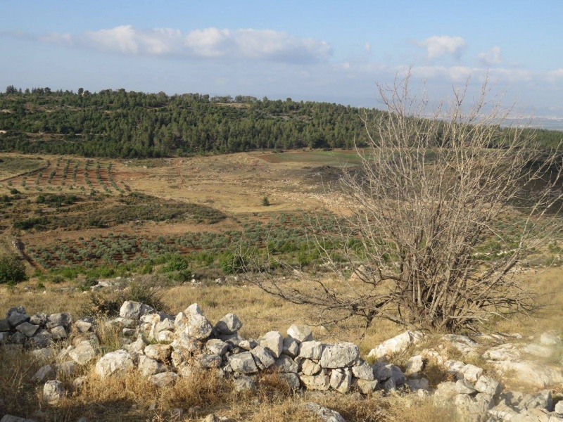 קובץ:ביראלקסור.jpg