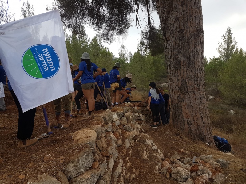 קובץ:בניית הטרסה.jpg