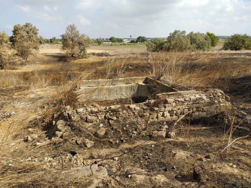 קובץ:בריכהביתדרס.jpg