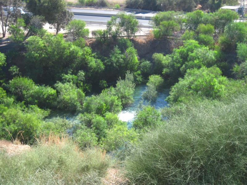 קובץ:בריכותמ'רר.JPG