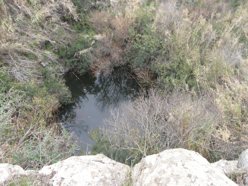 קובץ:בריכת האירוסים ובריכת ג'עדן 016.JPG