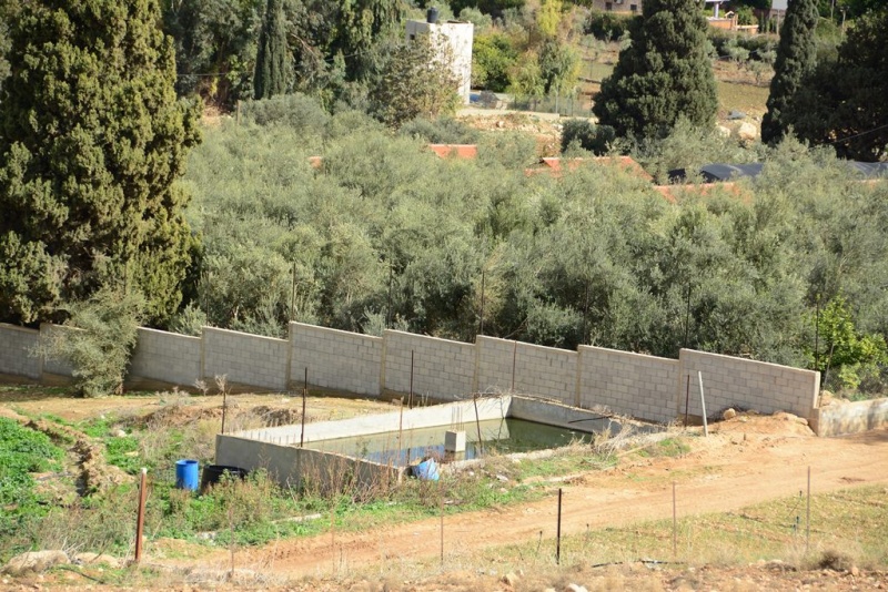 קובץ:בריכת מים בנחל תרצה.JPG