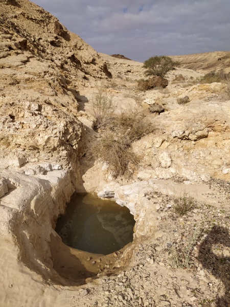 קובץ:גבחצבהי.jpg