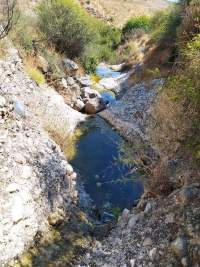 גביםמיצר.jpg