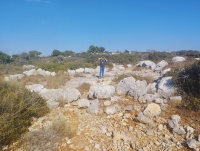 גורן עגולה גדולה. משטח נדיר בגודלו בסביבה זו.jpg