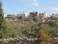 גוש עציון בדרכים חדשות 113 (Medium).jpg