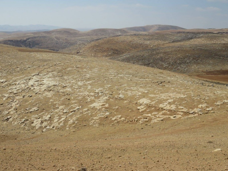 קובץ:גלגלרימוניםזרטל.jpg