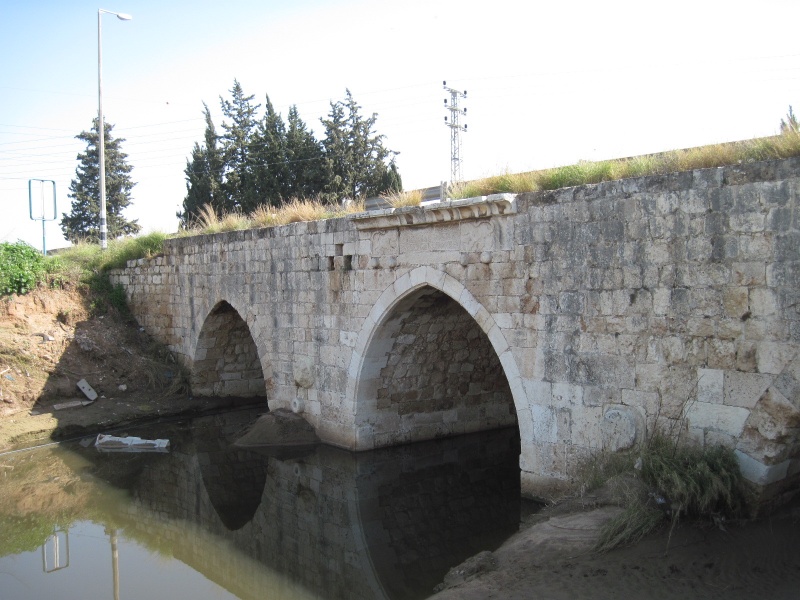 קובץ:גשרלוד.JPG