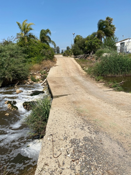 קובץ:גשר מעל נחל שורק.jpg