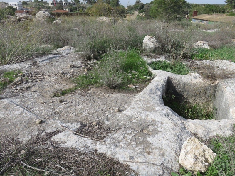 קובץ:גתבקוע.jpg