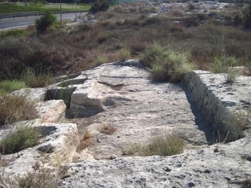 קובץ:גתחדת.JPG