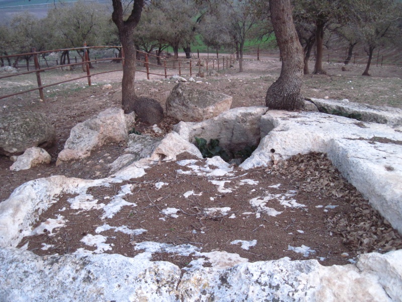 קובץ:גתנהויער.JPG