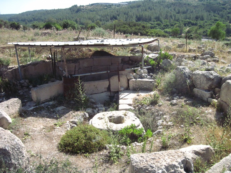 קובץ:גתעגולה.JPG