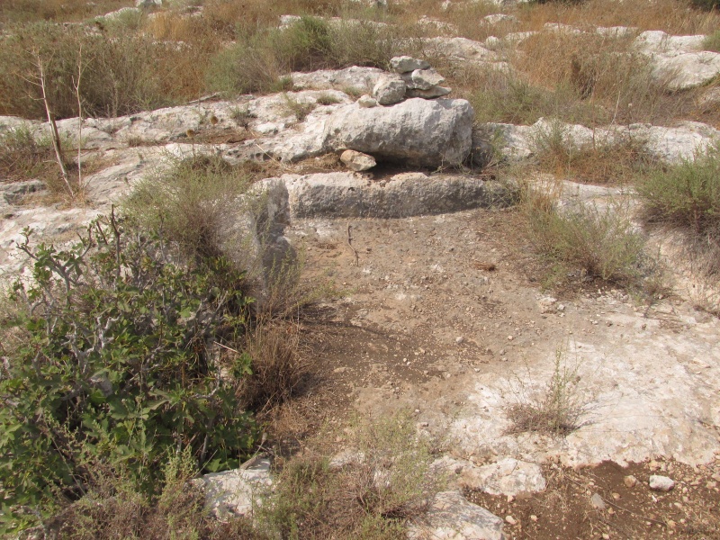 קובץ:גתרגם.JPG