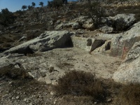 גת חצובה עם שתי גומחות לקורות סחיטה.jpg