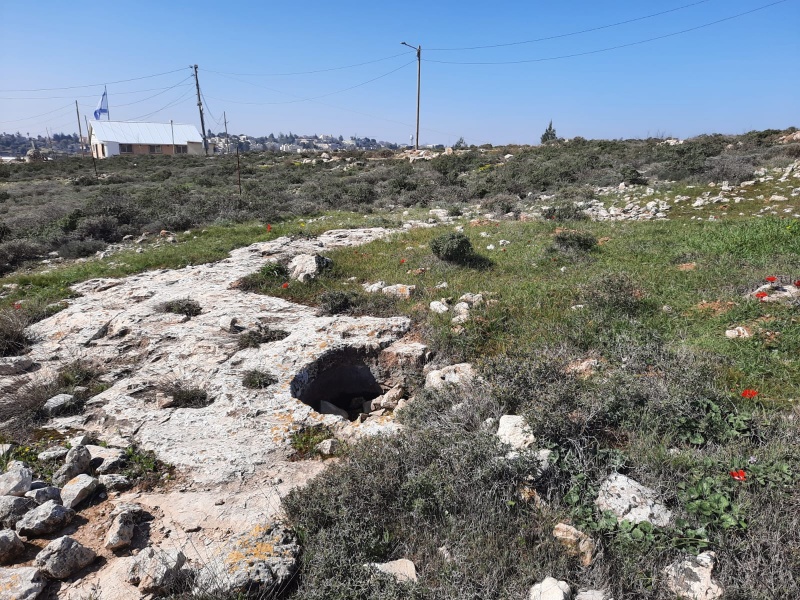 קובץ:גת קדומה בישוב אלעזר.jpg