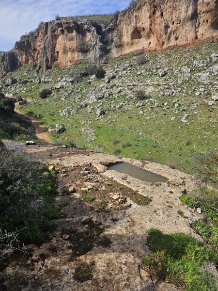 קובץ:גת - יראון.jpeg