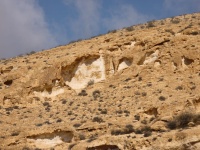 דייסת תצ.-שבטה 11.1.25 נ.מסעד דר. לעיר-הבדים ש-11.jpg