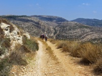 דרך הפטרולים.JPG