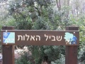 תמונה ממוזערת לגרסה מתאריך 06:40, 15 ביולי 2013