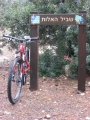 תמונה ממוזערת לגרסה מתאריך 06:50, 15 ביולי 2013