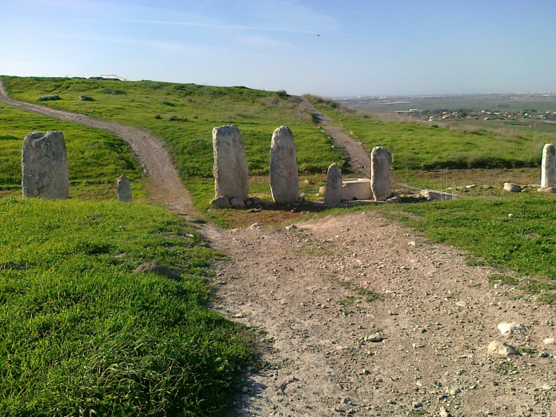 קובץ:הורדה 06062010 038.jpg