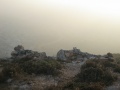 תמונה ממוזערת לגרסה מתאריך 17:20, 12 באפריל 2011
